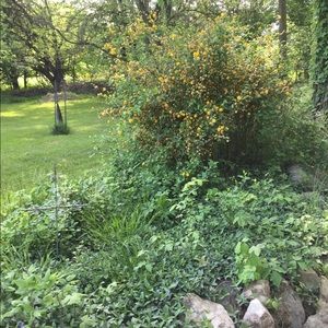 Meet your Posher, Gwyneth